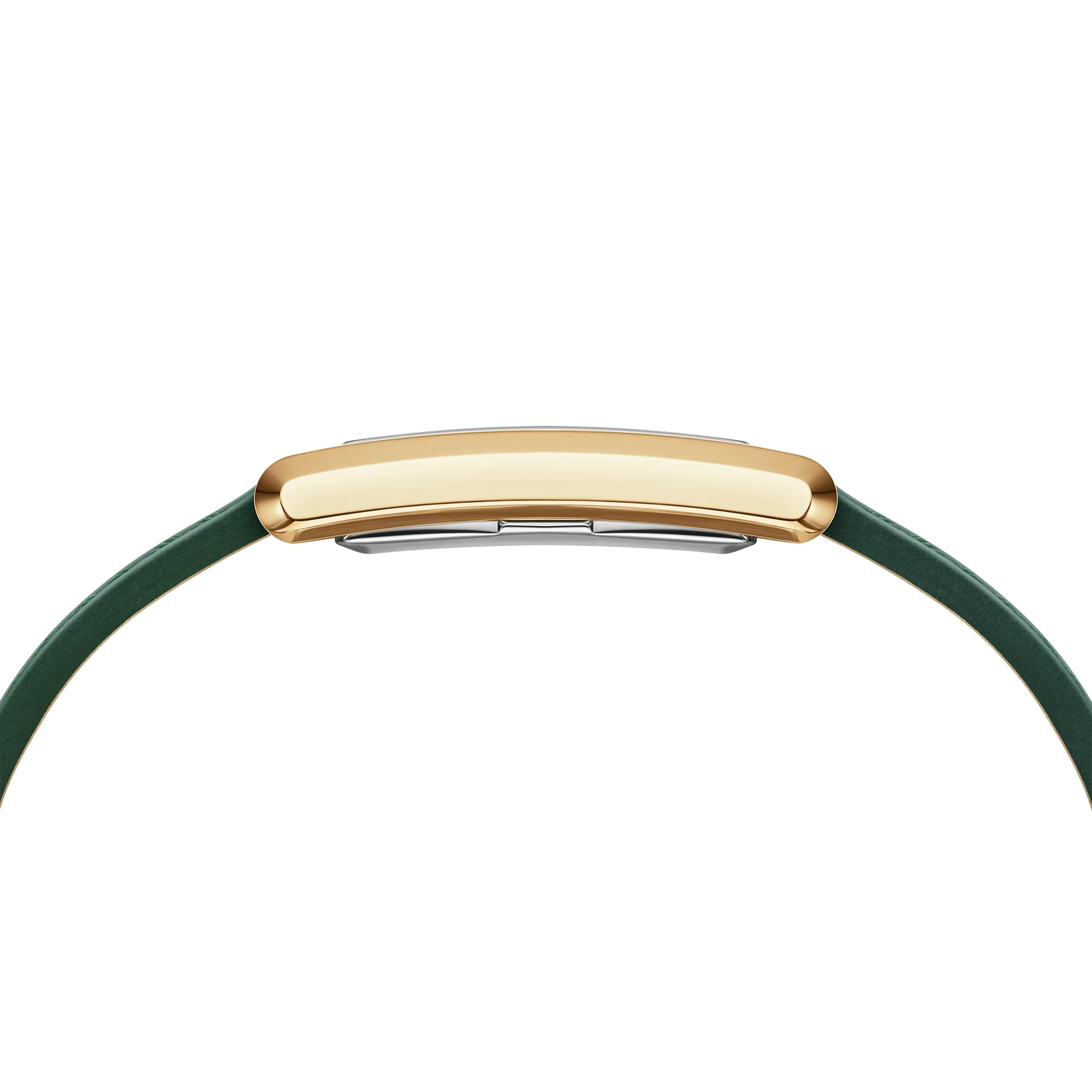 Bound Crocodile Champagne Sunray Gold - Image 5