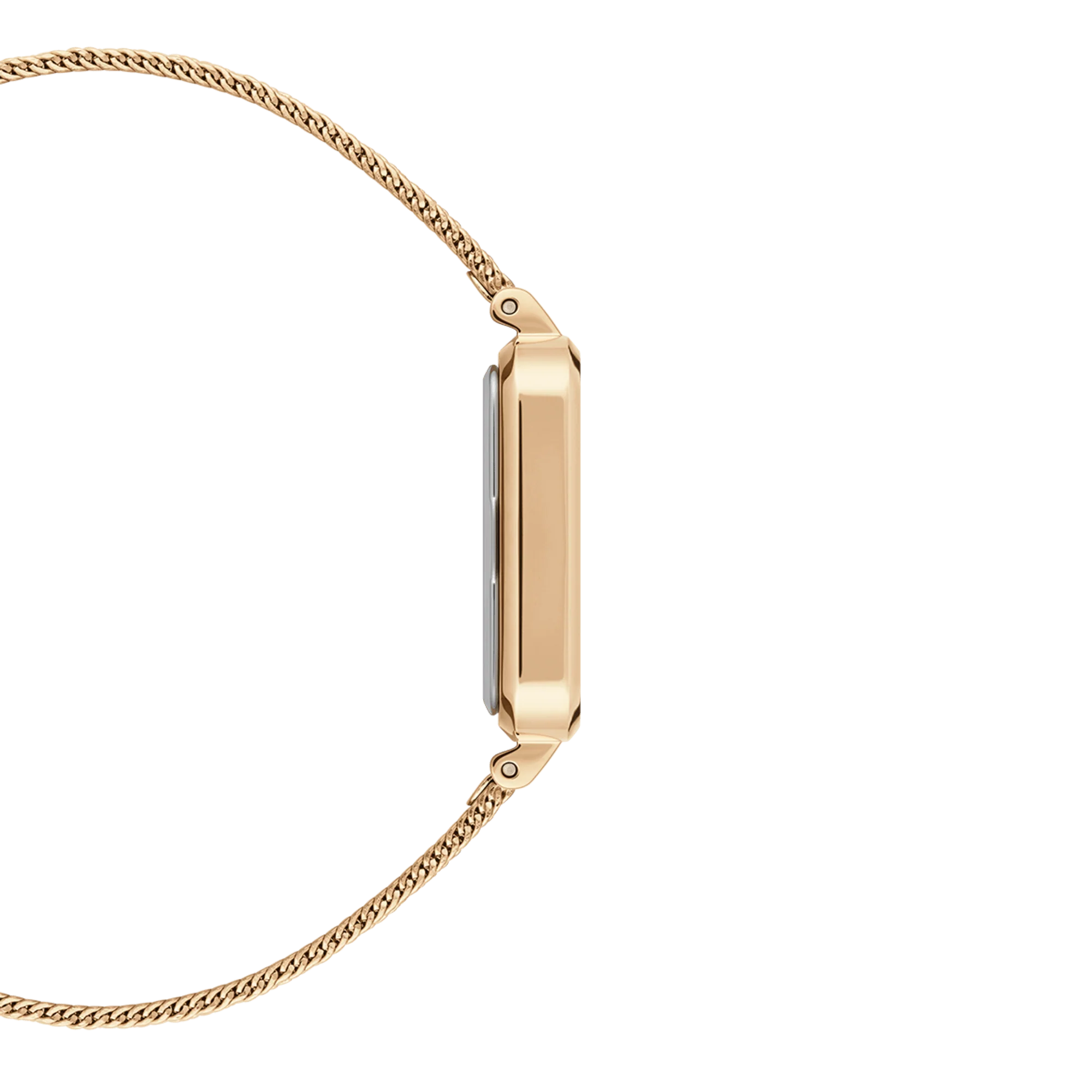 Quadro Pressed Evergold - Image 4